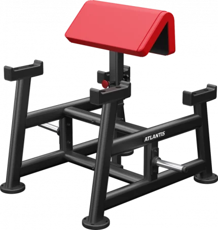 Atlantis Standing Preacher Curl